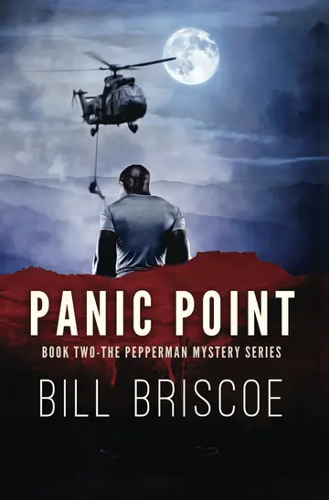 Cover of Panic Point