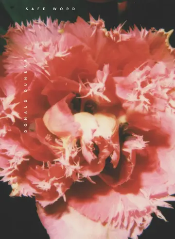 Cover of Safe Word