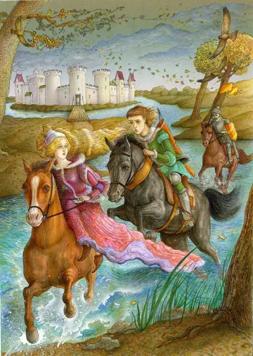 Cover of Castle in Danger