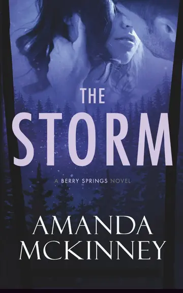 Cover of The Storm