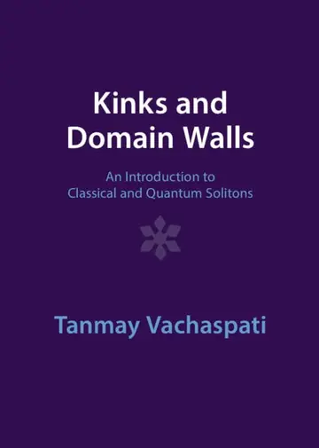 Cover of Kinks and Domain Walls