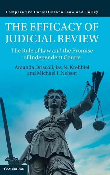 Cover of The Efficacy of Judicial Review