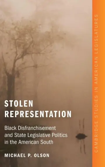 Cover of Stolen Representation