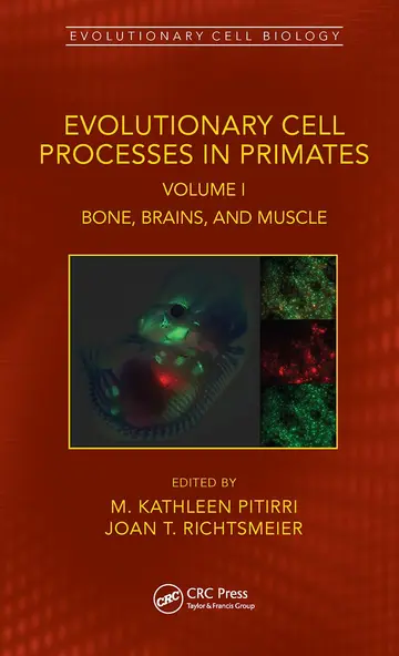 Cover of Evolutionary Cell Processes in Primates