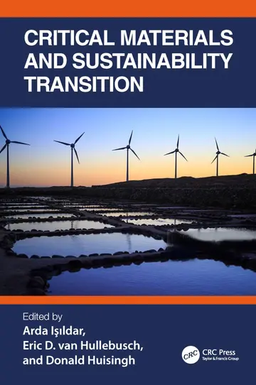 Cover of Critical Materials and Sustainability Transition