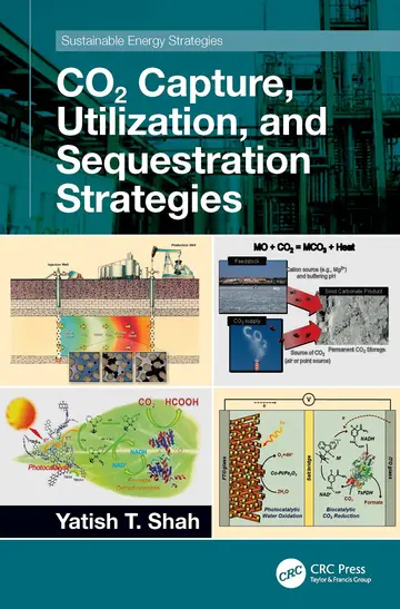 Cover of Co2 Capture, Utilization, and Sequestration Strategies