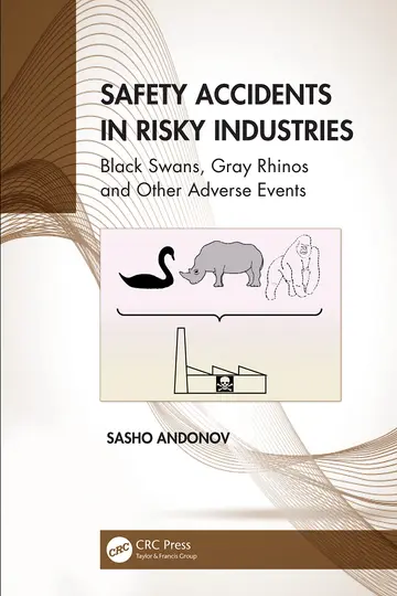 Cover of Safety Accidents in Risky Industries