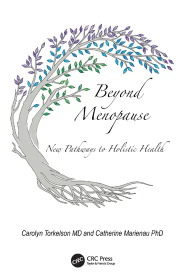 Cover of Beyond Menopause
