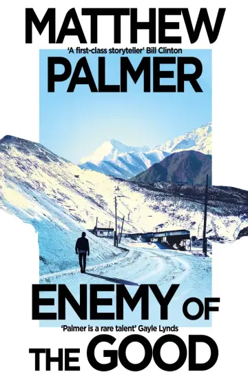 Cover of Enemy of the Good