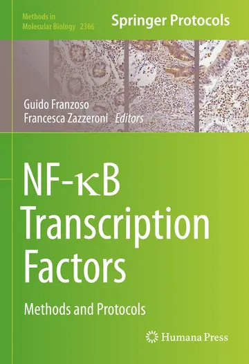 Cover of NF- B Transcription Factors