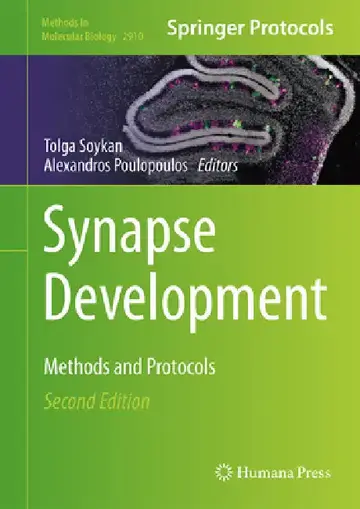 Cover of Synapse Development