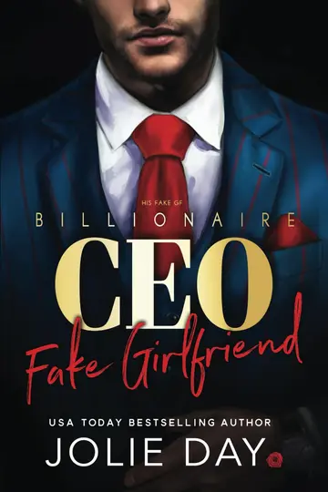 Cover of His Fake GF