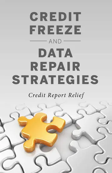 Cover of Credit Freeze and Data Repair Strategies