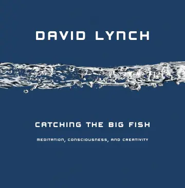 Cover of Catching the Big Fish