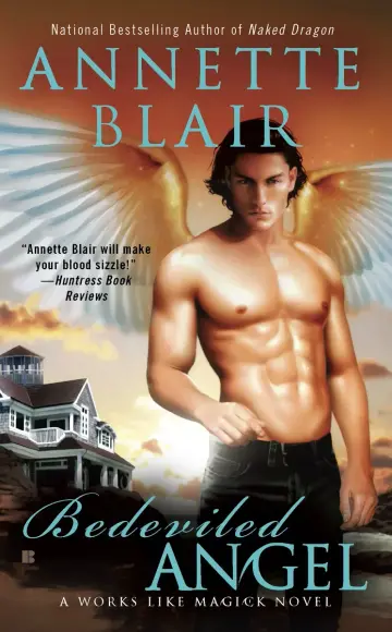 Cover of Bedeviled Angel