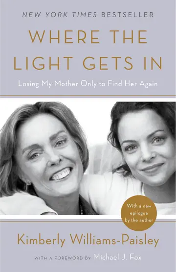 Cover of Where the Light Gets in