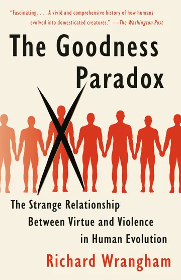 Cover of The Goodness Paradox