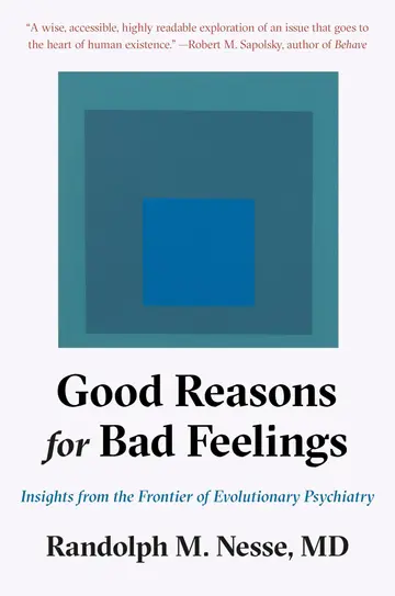 Cover of Good Reasons for Bad Feelings