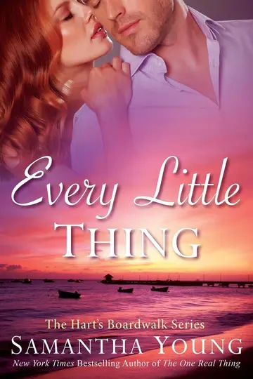 Cover of Every Little Thing