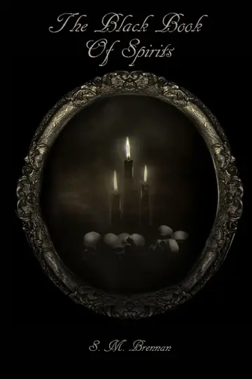 Cover of The Black Book of Spirits