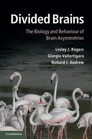 Cover of Divided Brains