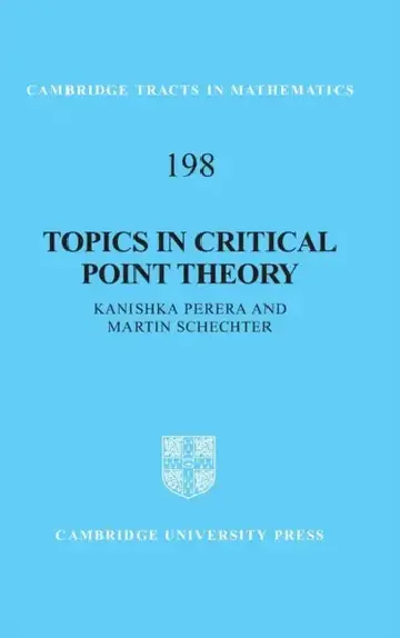 Cover of Topics in Critical Point Theory