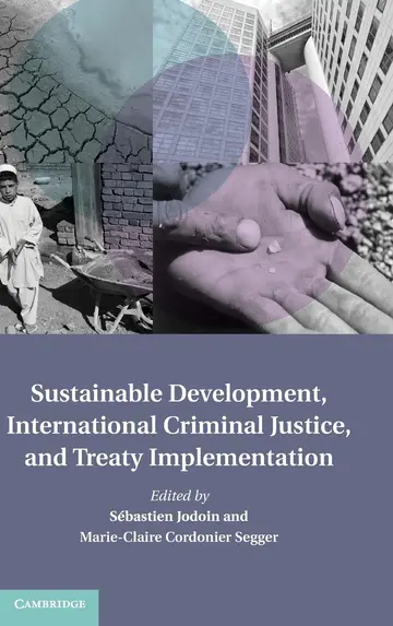 Cover of Sustainable Development, International Criminal Law and Treaty Implementation