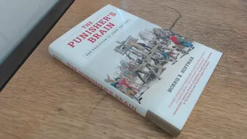 Cover of The Punisher's Brain