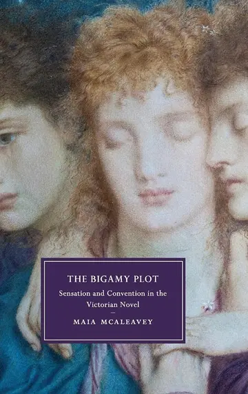 Cover of The Bigamy Plot