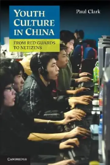 Cover of Youth Culture in China