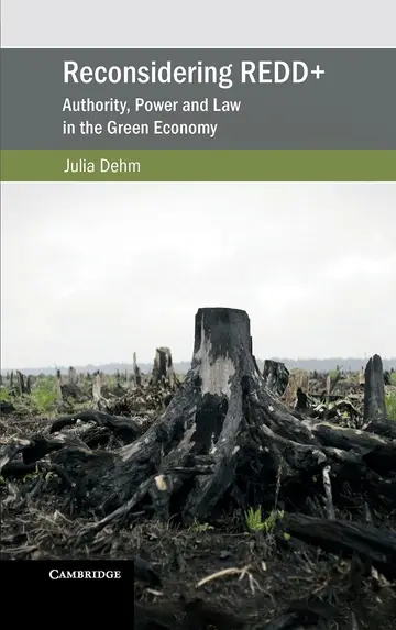 Cover of Reconsidering REDD+