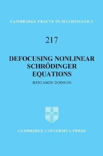 Cover of Defocusing Nonlinear Schrödinger Equations