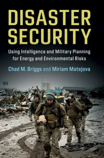 Cover of Disaster Security