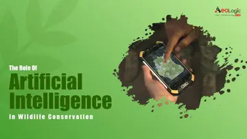 Cover of Artificial Intelligence and Conservation