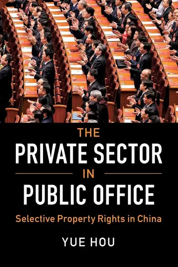 Cover of The Private Sector in Public Office
