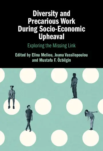 Cover of Diversity and Precarious Work During Socio-Economic Upheaval