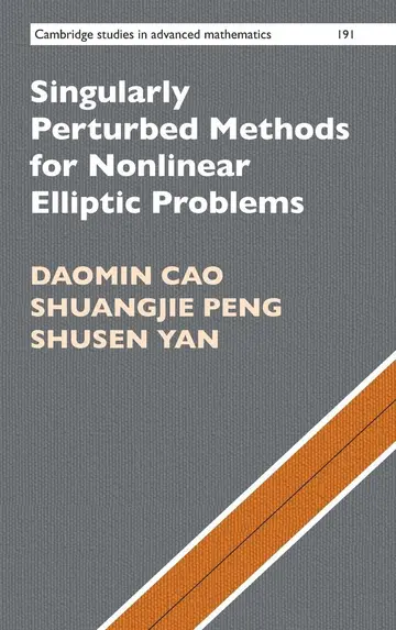 Cover of Singularly Perturbed Methods for Nonlinear Elliptic Problems