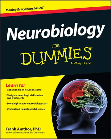 Cover of Neurobiology for Dummies