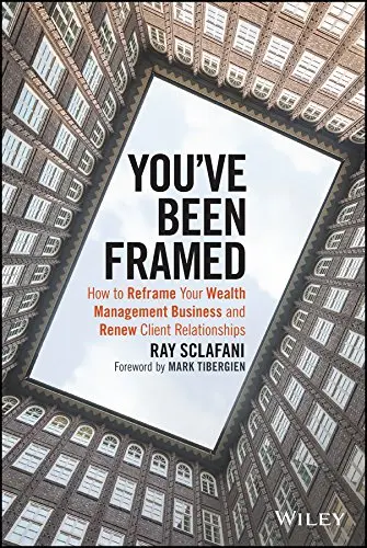 Cover of You've Been Framed