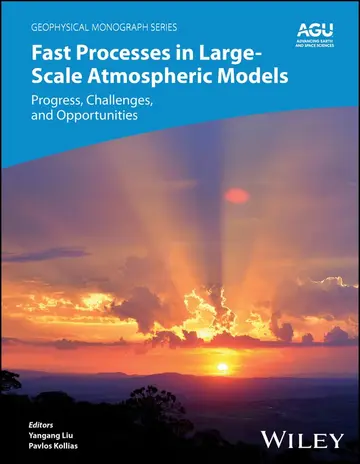 Cover of Fast Processes in Large-Scale Atmospheric Models