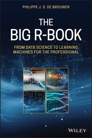 Cover of The Big R-Book