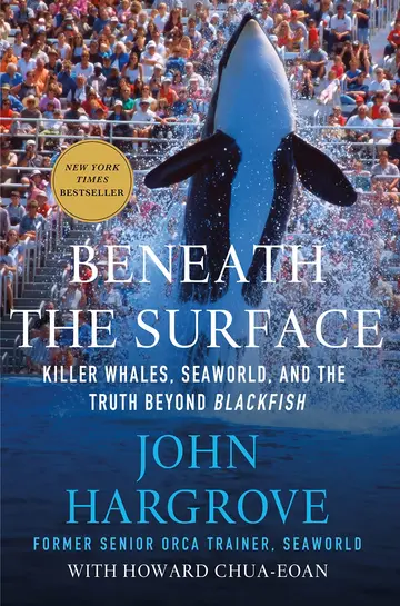 Cover of Beneath the Surface