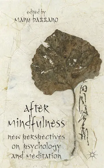 Cover of After Mindfulness