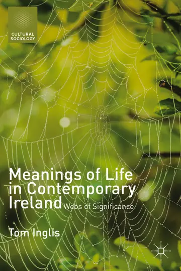 Cover of Meanings of Life in Contemporary Ireland