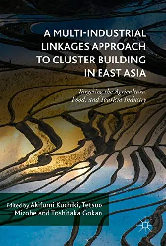 Cover of A Multi-Industrial Linkages Approach to Cluster Building in East Asia, Book