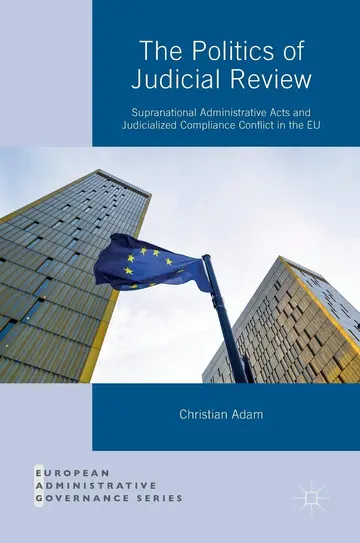 Cover of The Politics of Judicial Review