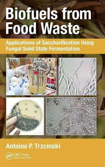 Cover of Biofuels from Food Waste