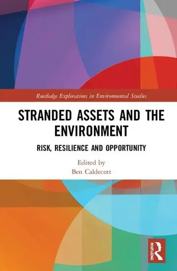 Cover of Stranded Assets and the Environment