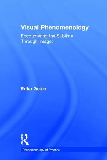 Cover of Visual Phenomenology