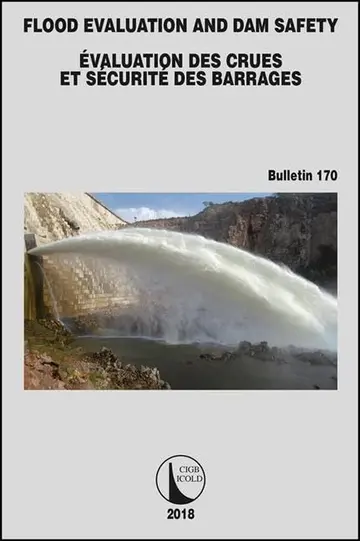 Cover of Flood Evaluation and Dam Safety Icold, Cigb